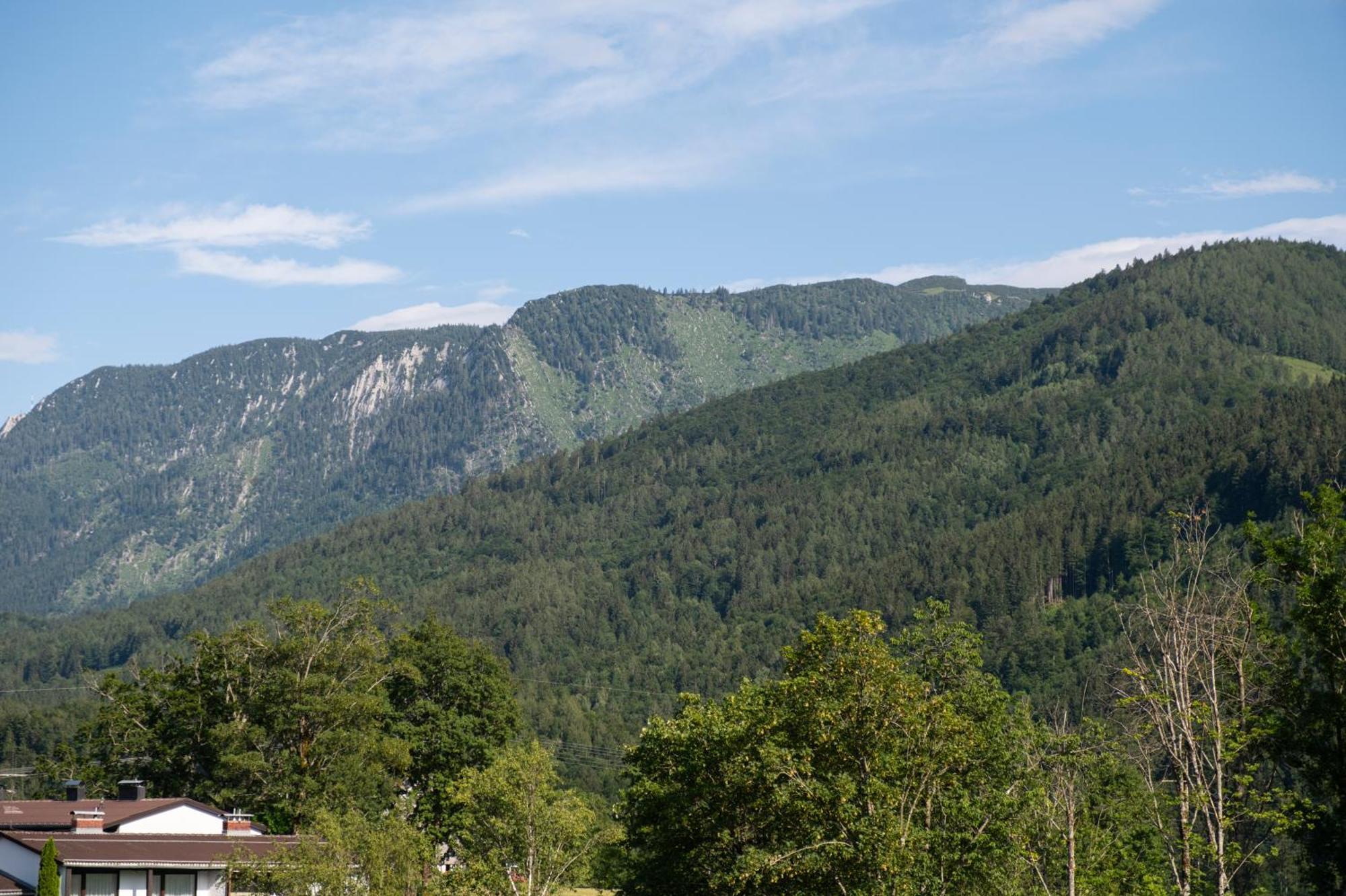 Suite Apartment Modern Getaway - Neu Renoviert - Strobl Am Wolfgangsee Dış mekan fotoğraf